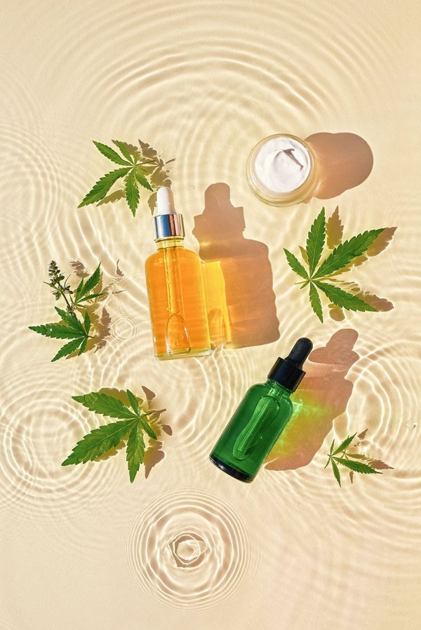 Comment utiliser cette plante secrète  en toute sécurité et légalité en France ?