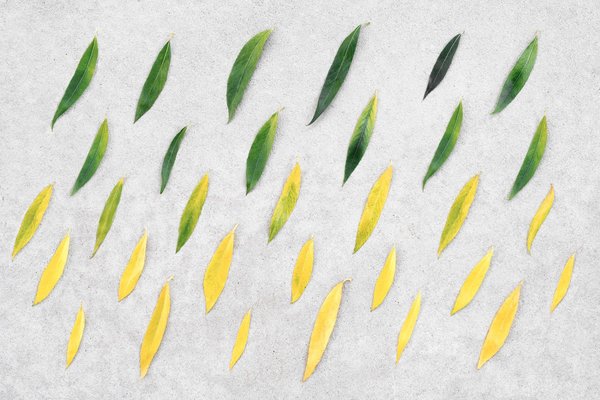 Comment le numérique peut aider à lutter contre le réchauffement climatique ?