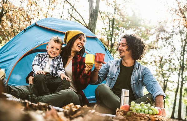 Quels sont les meilleurs campings entre Argelès-Gazost et Lourdes ?