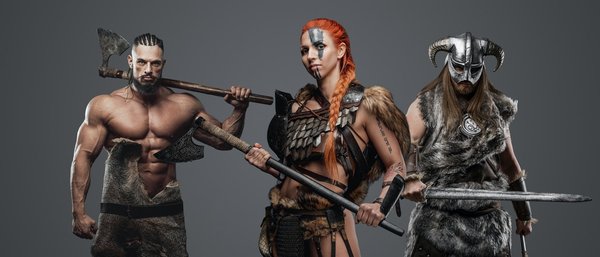 Comment connaître les vikings ?